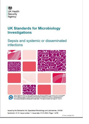 UK Standards For Microbiology Investigations   S12 Screenshot 004 